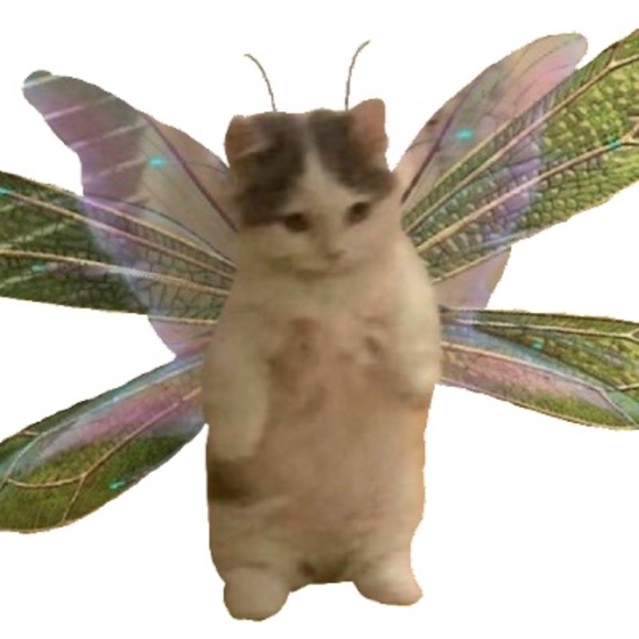 Meet your Posher, Sxnriioll - Picture 1 of 1